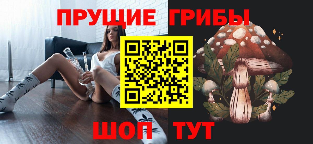 Псилоцибиновые грибы GOLDEN TEACHER  Вход с VPN  Кропоткин  Псилоцибиновые грибы ЛСД 